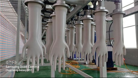 Tự động hóa dây chuyền sản xuất găng tay y tế